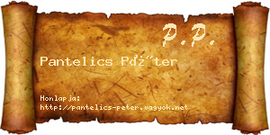 Pantelics Péter névjegykártya